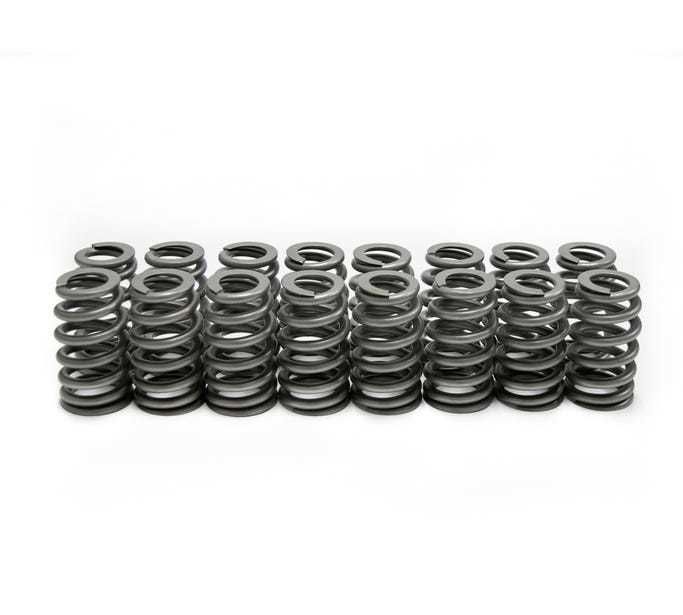 LS6 Beehive Springs .560 Lift (16)