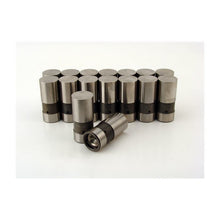 Hydraulic Lifters - Chevy V8 Race Cam Saver