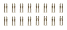 Chevy V8 Hydraulic Lifters (16)