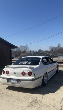 StayTuned Society "Dice Roll" Banner