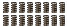 1.260 Valve Springs  w/ Damper (16)