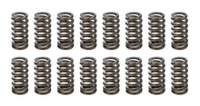 1.025 Valve Springs - Ovate Beehive (16)