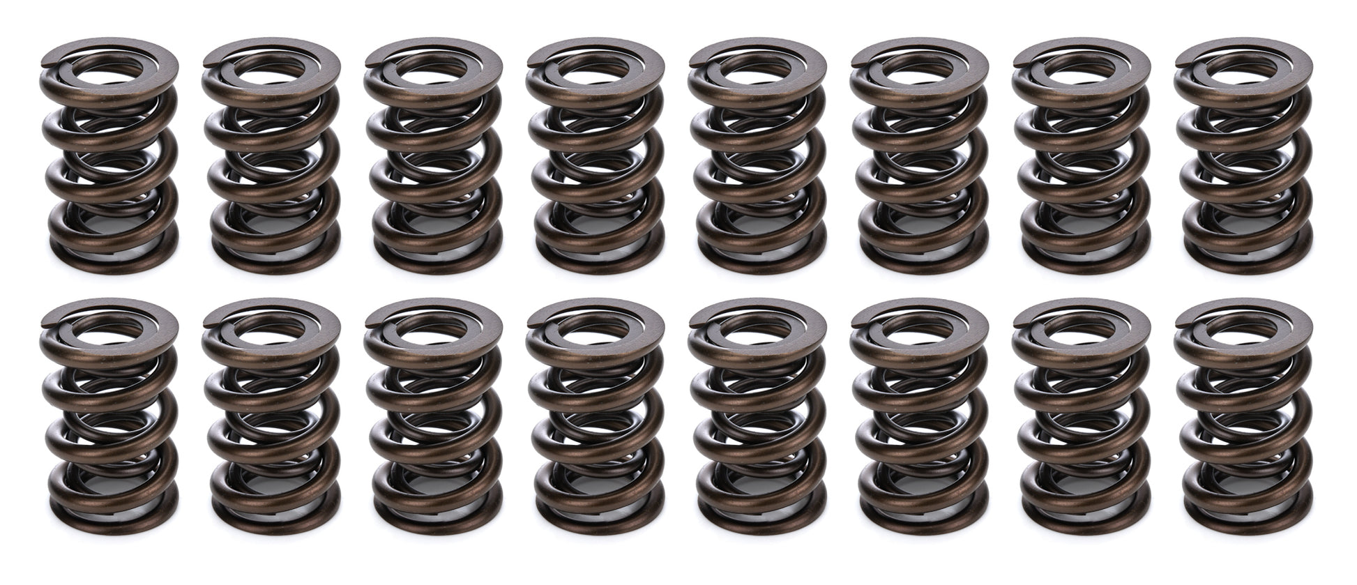 1.570 Dual Valve Springs CT 1200 Series (16)