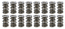 1.645 Triple Valve Springs (16)