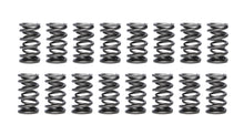 1.500 Dual Valve Springs (16)