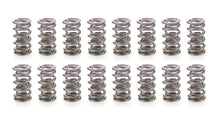 1.430 Dual Valve Springs (16)